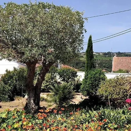 Villa Kairos Casa Grande; Luxury With Private Pool Carrascal (Leiria)