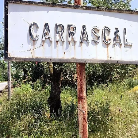 Kairos Casa Grande; Luxury With Private Pool * Carrascal (Leiria)