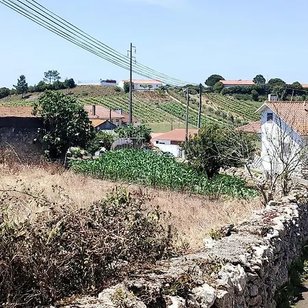 Вилла Kairos Casa Grande; Luxury With Private Pool Carrascal (Leiria)